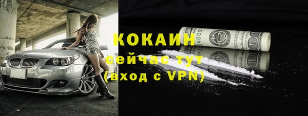 мет Няндома
