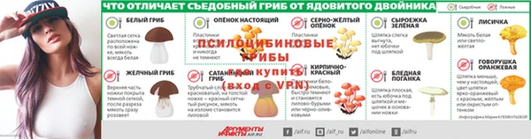 мет Няндома