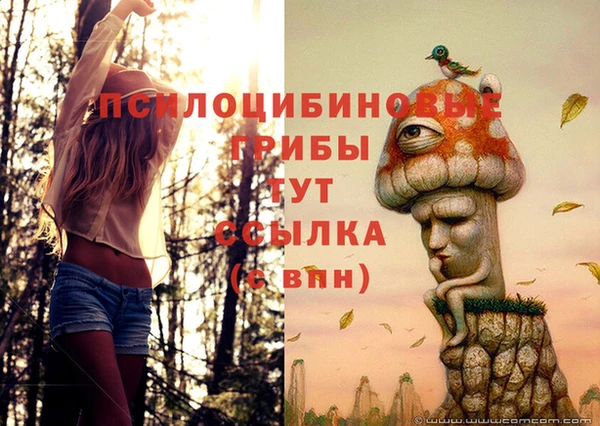 ПСИЛОЦИБИНОВЫЕ ГРИБЫ Нягань