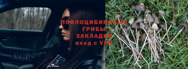 МДПВ Нязепетровск